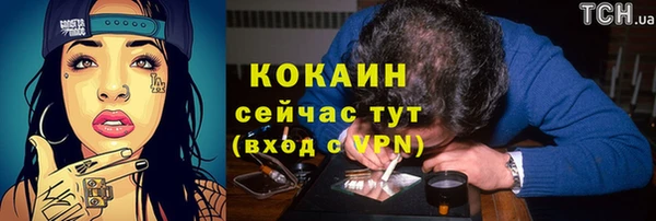 гашик Козловка