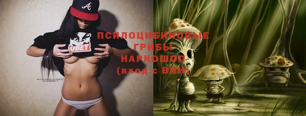 гашик Козловка