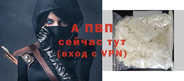 прущая мука Корсаков
