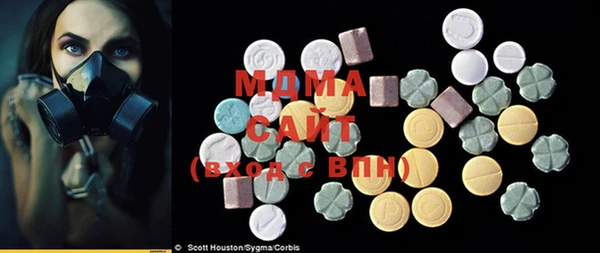 сатива Коряжма