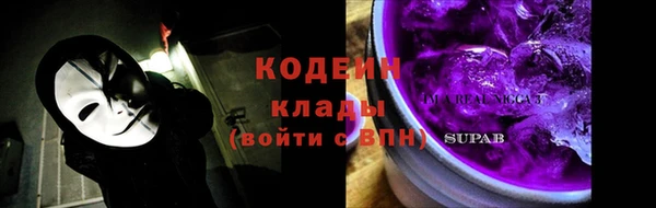 сатива Коряжма