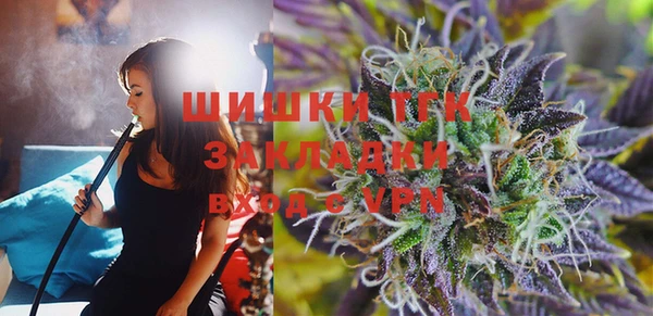 сатива Коряжма