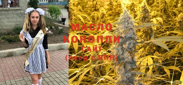 сатива Коряжма