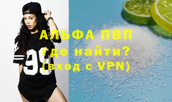 сатива Коряжма
