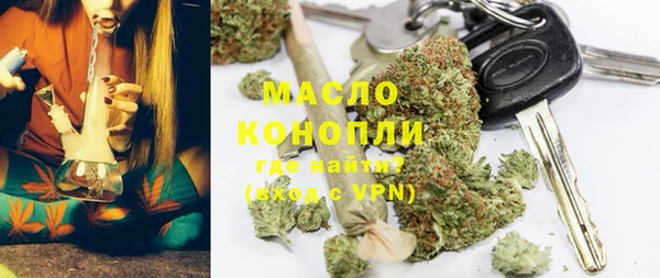 гашик Козловка