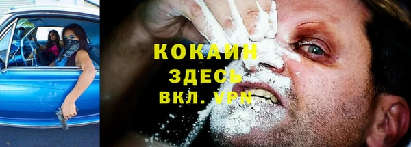 прущая мука Корсаков