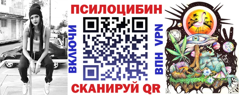 Купить где  Северодвинск  Галлюциногенные грибы GOLDEN TEACHER 